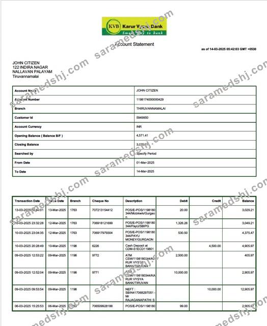 India Karur Vysya Bank account statement Word and PDF template